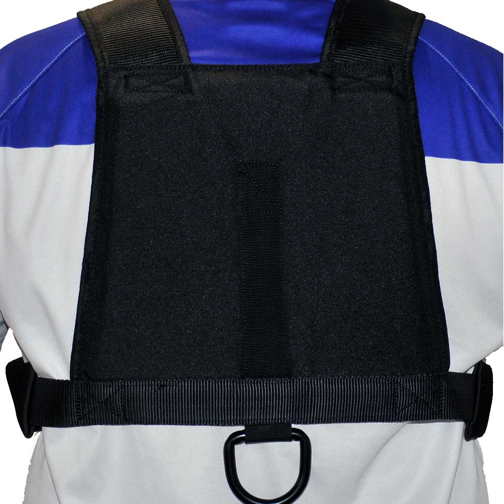 R80 Pure Power Trainer V2 -