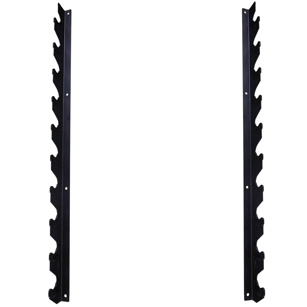 Wall Mounted 10 Bar Rack (Gun rack) - 