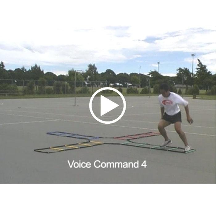 Multi - Coloured Ladder Online Video - 