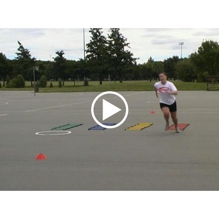 Multi - Coloured Ladder Online Video - 